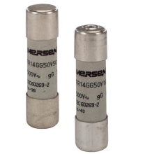 cau-chi-mersen-fr14gg50v2p-ferraw-shamut-6322.jpg