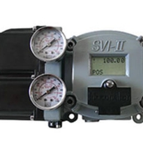 mn-svi-ii-ap-305x230b1-9346.jpg