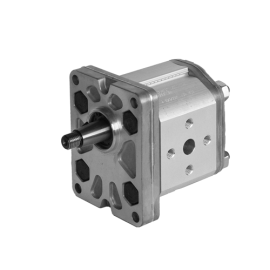 Bơm bánh răng External gear pumps GP Duplomatic Model GP2-0140R97F/20N , GP20095R97F/20N