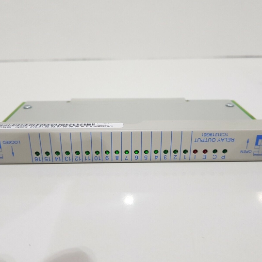 1C31219G01 | Ovation | Relay Output Module