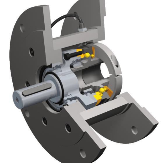 Bộ giới hạn mô-men xoắn Mayr  Model : EAS-HTL Size 100-1 Type 490.625.0 Mayr Torque Limiter 