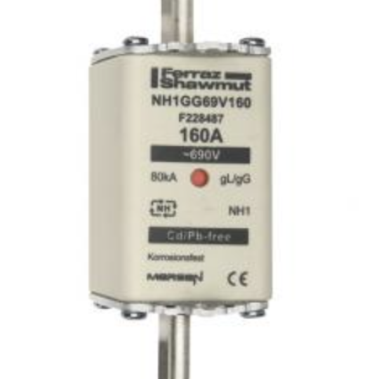 Cầu chì Ferraz Shawmu NH1GG69V160 Mersen