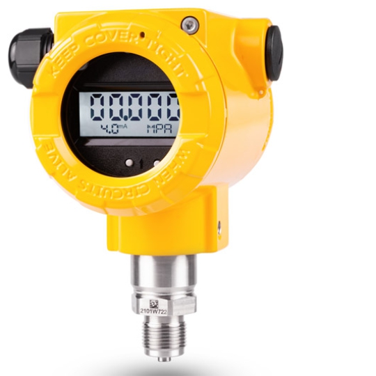 Cảm biến áp suất Smart pressure transmitter APC-2000ALW  Type APC-2000ALW/1/2NPT   APC-2000ALW/Exd/0-25bar/1/2’’NPT 