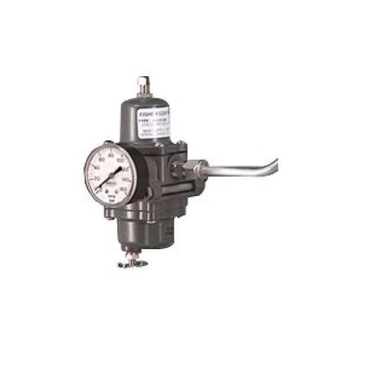 Bộ điều áp 67CFR-239 | Fisher 67C Series Instrument Supply Regulator 