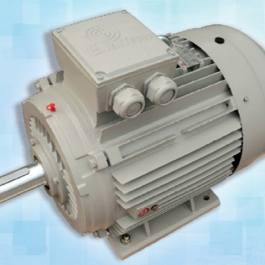 Động cơ motor Enertech 3 Pha 45kw 4P B3 IE1: Type: ESC225M-4