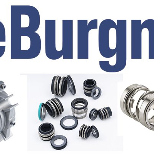Phớt làm kín cơ khí  EAGLEBURGMANN cho bơm  MS30/50-00 SBVGG  Phớt dầu bơm ABS MS30/50-G60