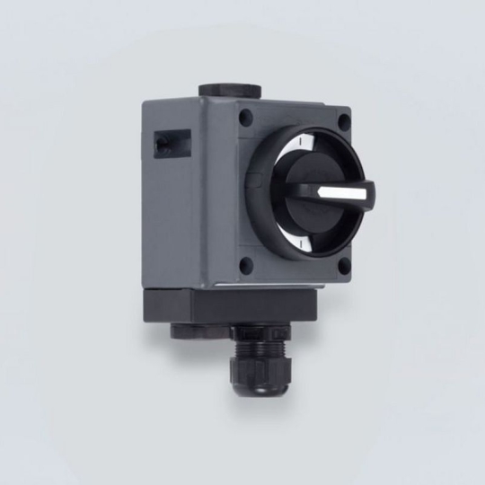 Công tắc STAHL 8040/11-V30-033-B 2-pole installation switch