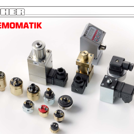 Công tắc áp suất Pressure Switch  LAY-600-002-311-11  Hemomatik 