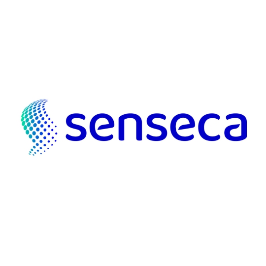 Đầu dò Senseca Penetration probe GES38 